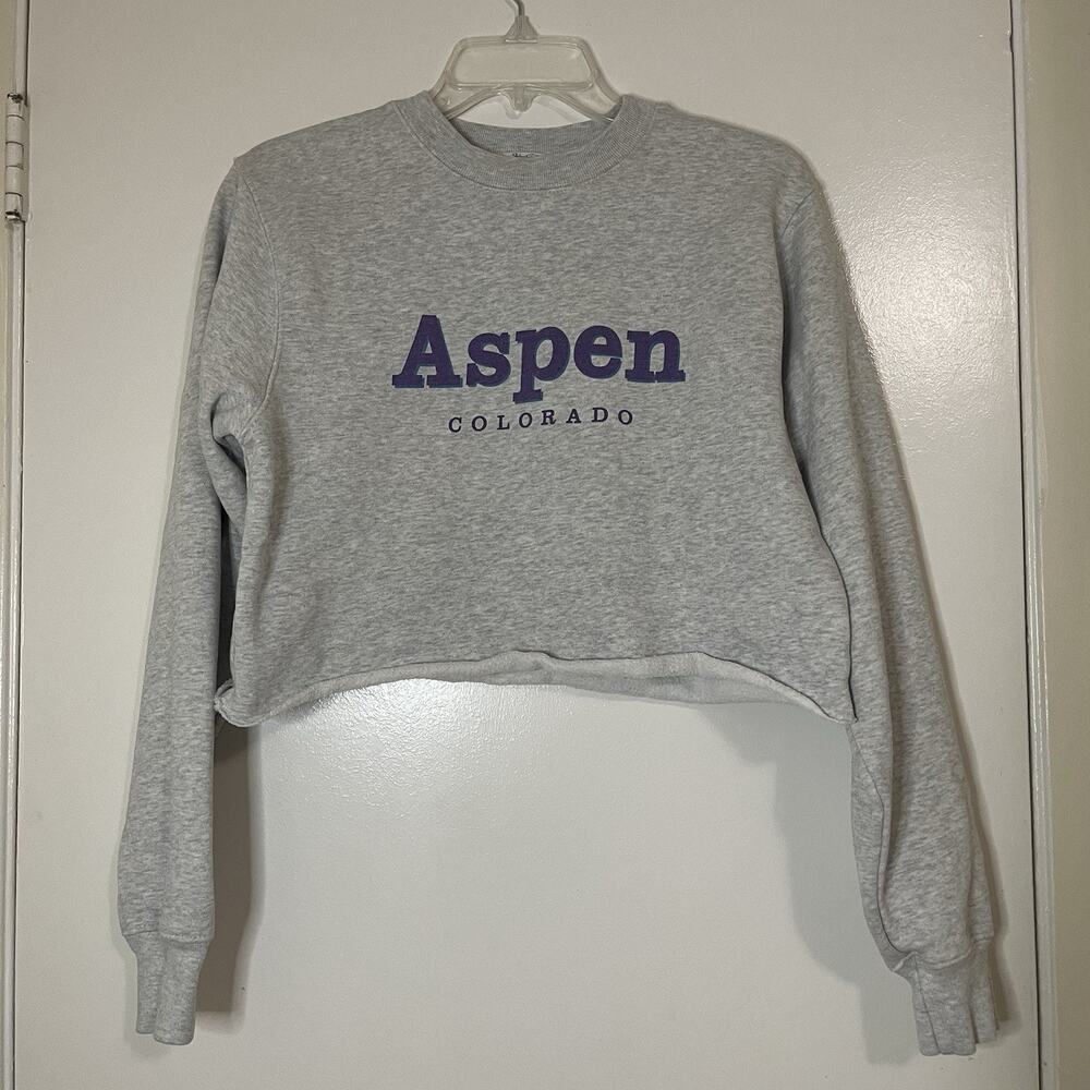Brandy Melville John Galt gray pullover Aspen Colorado cropped sweatshirt small